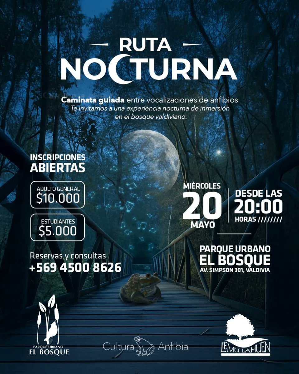 lenemarite's tweet photo. 🌿🎲 ¡Juguémonos por el medio ambiente!

En el marco del Día Mundial del Medio Ambiente, que se celebra cada 5 de junio, te invitamos a compartir una tarde diferente junto a familia, amistades y comunidad, explorando juegos de mesa inspirados en la naturaleza,… https://t.co/EOC3rDsvra