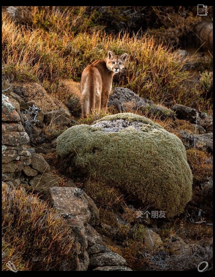 NolanSliker's tweet photo. I feel a sense of achievement when I tackle unexpected daily challenges with composure. Solving problems on the fly demonstrates a hidden maturity that contrasts with my typically lazy demeanor, allowing me to contribute to a kinder and brighter world. https://t.co/74E8BeEcXF