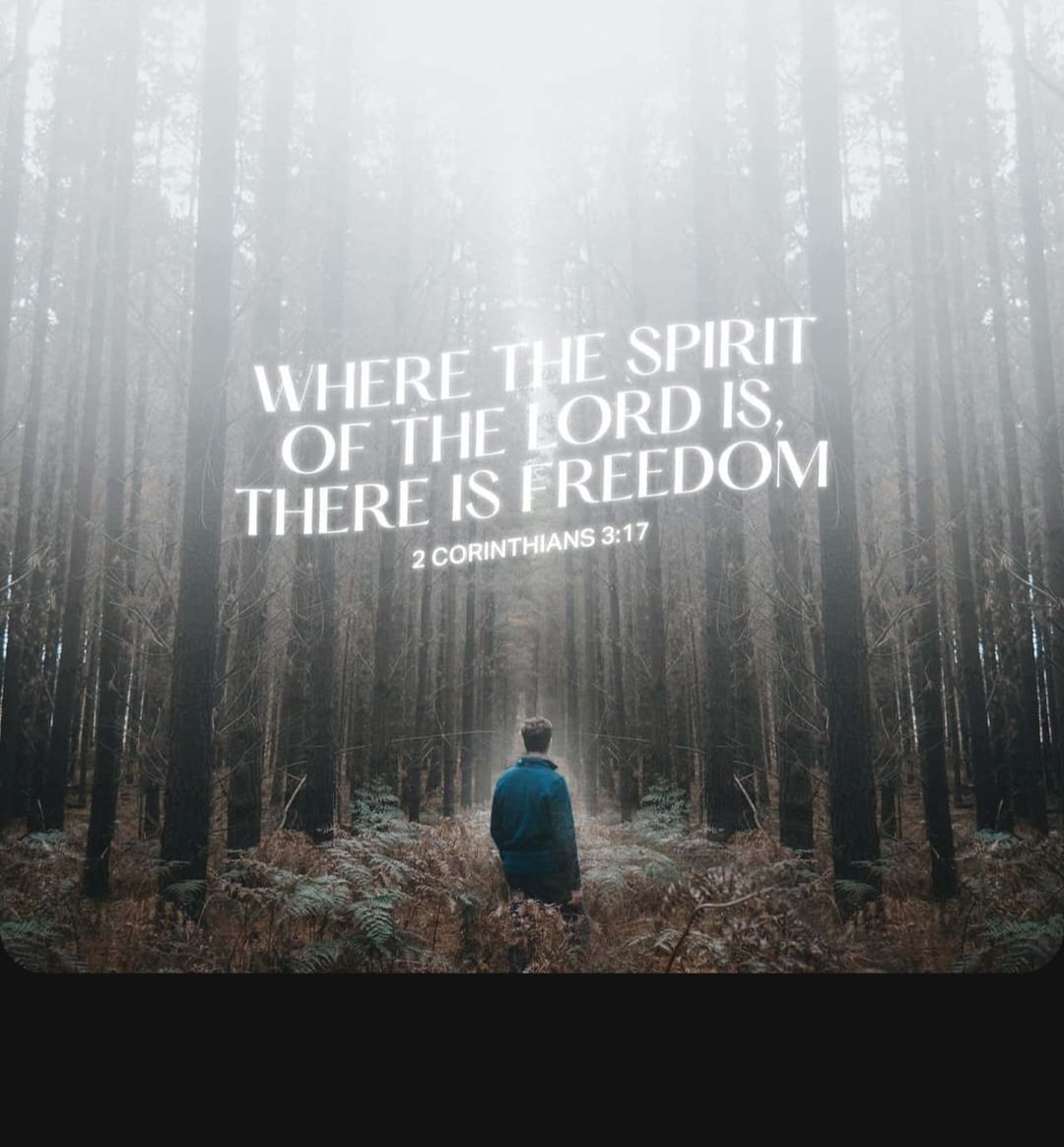 Youngdeco20's tweet photo. Now the Lord is the Spirit; and where the Spirit of the Lord is, there is liberty. 2 Corinthians 3 :17 NKJV https://t.co/Dkq7AAuoJ1