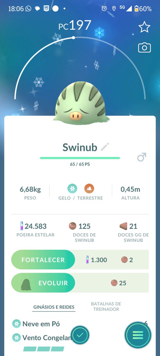 Nunseih's tweet photo. infestação de swinub no pokémon go só porque tá um frio de fuder no RJ, a nintendo as vezes é foda https://t.co/Ug2Vqbcpuf