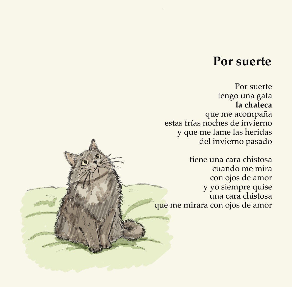 eneGZeta's tweet photo. le escribí a mi gata https://t.co/3mRD0i8uNi