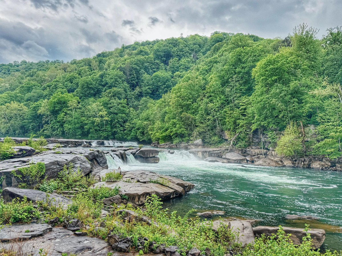 WV State Parks tweet media