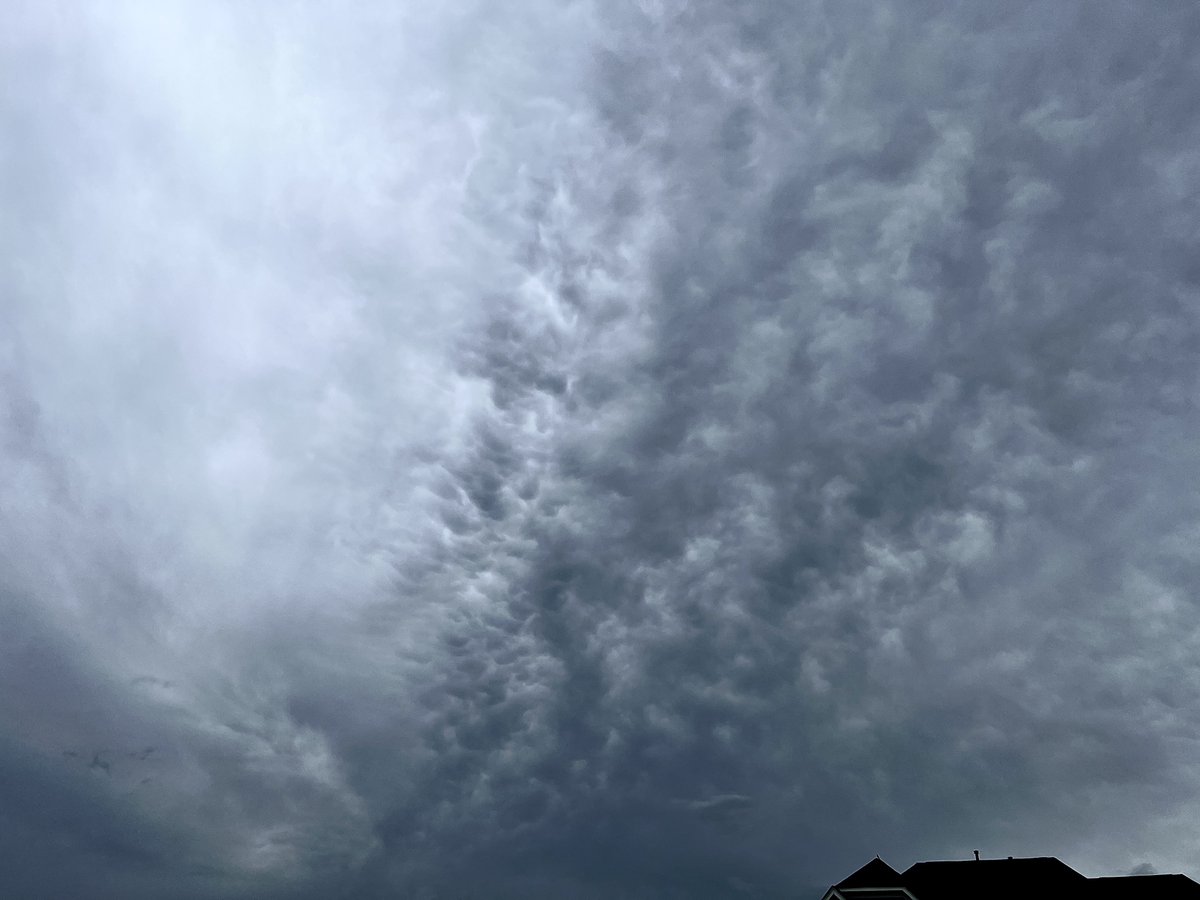 Mesa_T_Aphophas's tweet photo. #Kishapolee #TinyBlueSpec #TerraFirma #Light #WaterIsLife #GalacticFederationOfLight
Life giving rain is moving in this evening!
These beautiful clouds quickly turned more gray and soon after these were taken, the clouds gave way to let the rain fall! They were are so vivid! So much definition and detail as they moved in!
We live on such an incredibly beautiful planet! As beautiful and wonderful as it is, the end to this last waking dream brings that anticipated and welcomed moment of βpeaceβ and the end of evil.
π ππ©΅πππ§οΈππ§οΈπππ©΅ππ