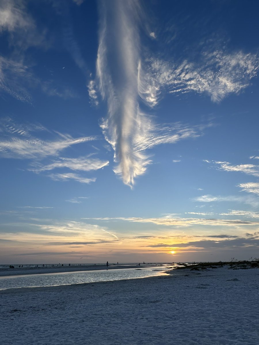 ferrarisue's tweet photo. @PaulFox13 #Lidobeach #Sarasota https://t.co/JF0SKEpexA