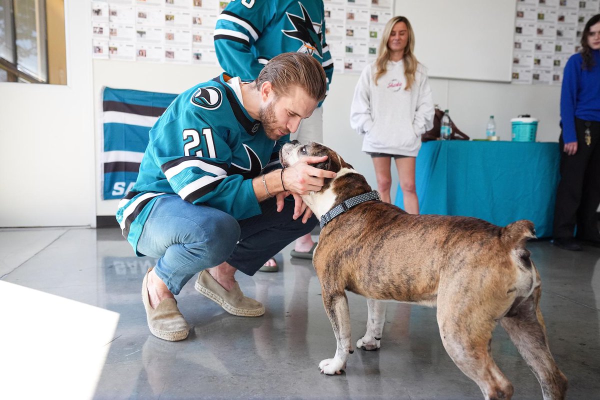 sjscommunity's tweet photo. 🐾 As of today, every animal Alexander Wennberg and Tyler Toffoli visited during their trip to Silicon Valley Animal Control Authority has officially found their fur-ever home! 🏡

Looking to add a furry friend to your family? Visit https://t.co/gYmKVh4Euo to view animals currently available for adoption.