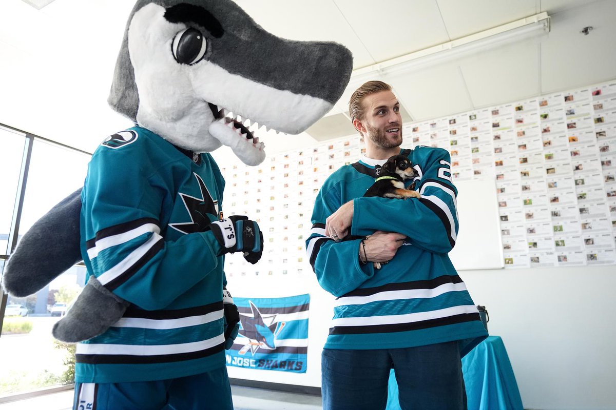 sjscommunity's tweet photo. 🐾 As of today, every animal Alexander Wennberg and Tyler Toffoli visited during their trip to Silicon Valley Animal Control Authority has officially found their fur-ever home! 🏡

Looking to add a furry friend to your family? Visit https://t.co/gYmKVh4Euo to view animals currently available for adoption.