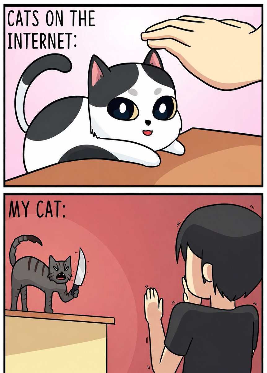 The pets only 🐾 tweet media