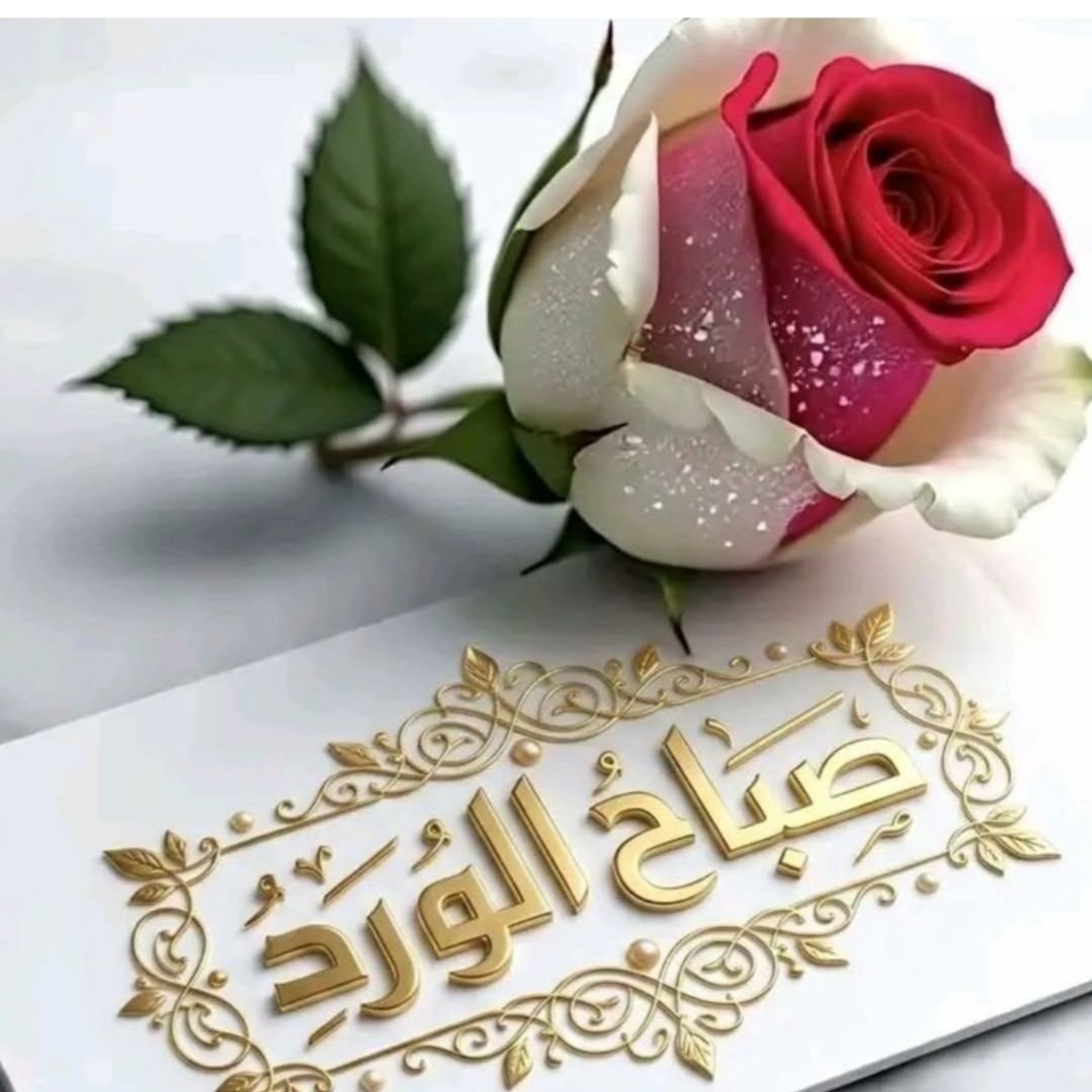 AldosariFathima's tweet photo. https://t.co/tHHaxMRKJ8