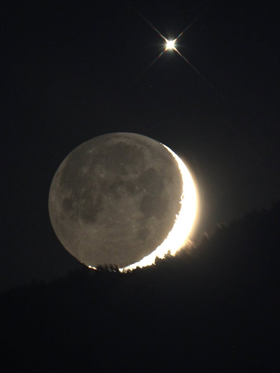 MOON tweet media