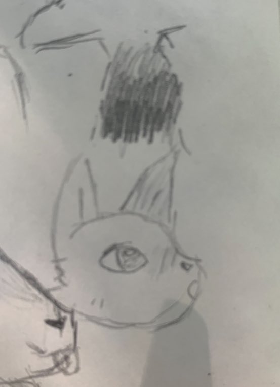Moonfoxxo's tweet photo. Idk I’ve been practicing drawing for a month or 2 now, I hope it’s better then ai https://t.co/ZhOJ0sTlB2