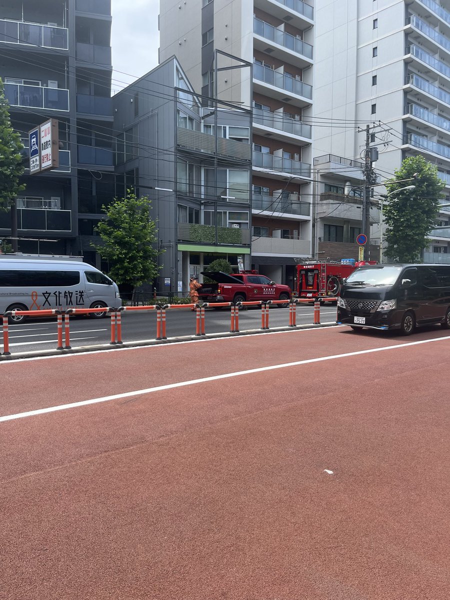 海豚斎 tweet media