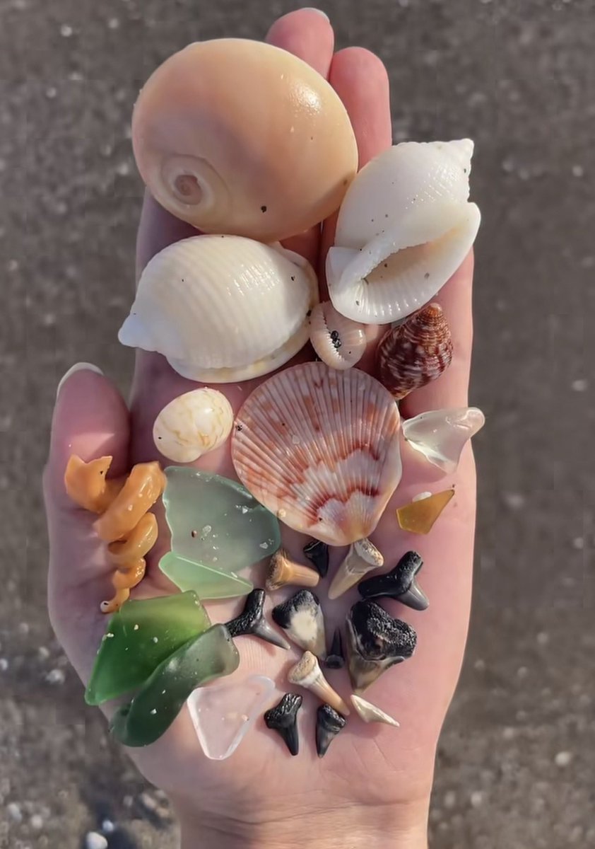 lunecrumbss's tweet photo. handfuls of happiness https://t.co/rT1BC3spqG