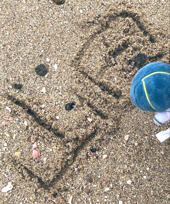 海。はしゃいで貝なんて拾っちゃってさ。