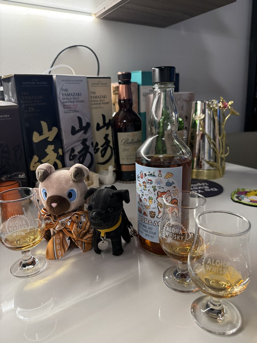 asafujioka's tweet photo. 0次会✌️🥃

📍🏠 https://t.co/ljcKccTnvC