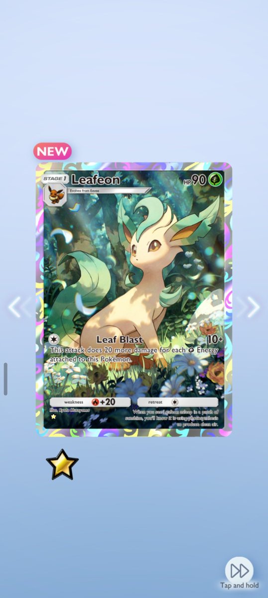 aychuwon's tweet photo. Im not even kiddng i pulled all these 1 day apart from each other and both eevees on the same day THATS INSANE its even crazier if you realise my eeveelution of choice are leafeon and sylveon https://t.co/PZzXe5q4Si