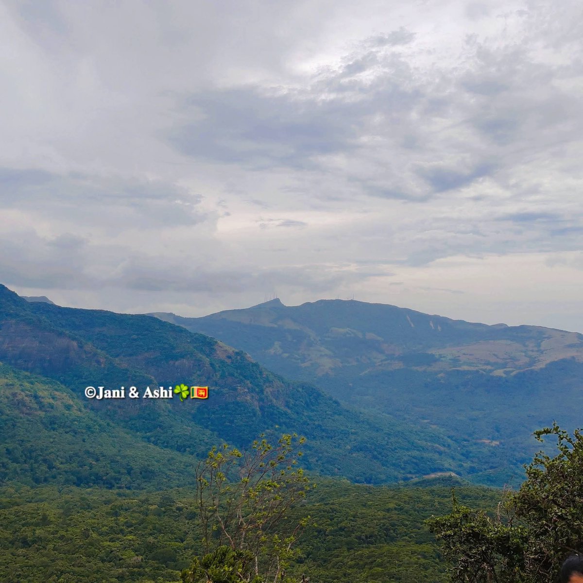 JaniNAshi3's tweet photo. 😍🌿සොබාදහමේ ආශ්වාදය | 𝐍𝐚𝐭𝐮𝐫𝐞'𝐬 𝐞𝐬𝐜𝐚𝐩𝐞! 😍🍃

ｆｏｌｌｏｗｅｄ🌿
𝐓𝐫𝐚𝐯𝐞𝐥 𝐰𝐢𝐭𝐡 𝐉𝐚𝐧𝐢 &amp; 𝐀𝐬𝐡𝐢 ☘️ 🇱🇰
__________________________
.
.
.
#jani_ashi #trending #viral #pitawalapathana #Riverston #HanthanaRange #HikingLife #CloudyDay #VisitSriLanka #TravelVibes https://t.co/2sy0qGSpeh