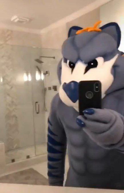Kitwana @ Anthrocon tweet media