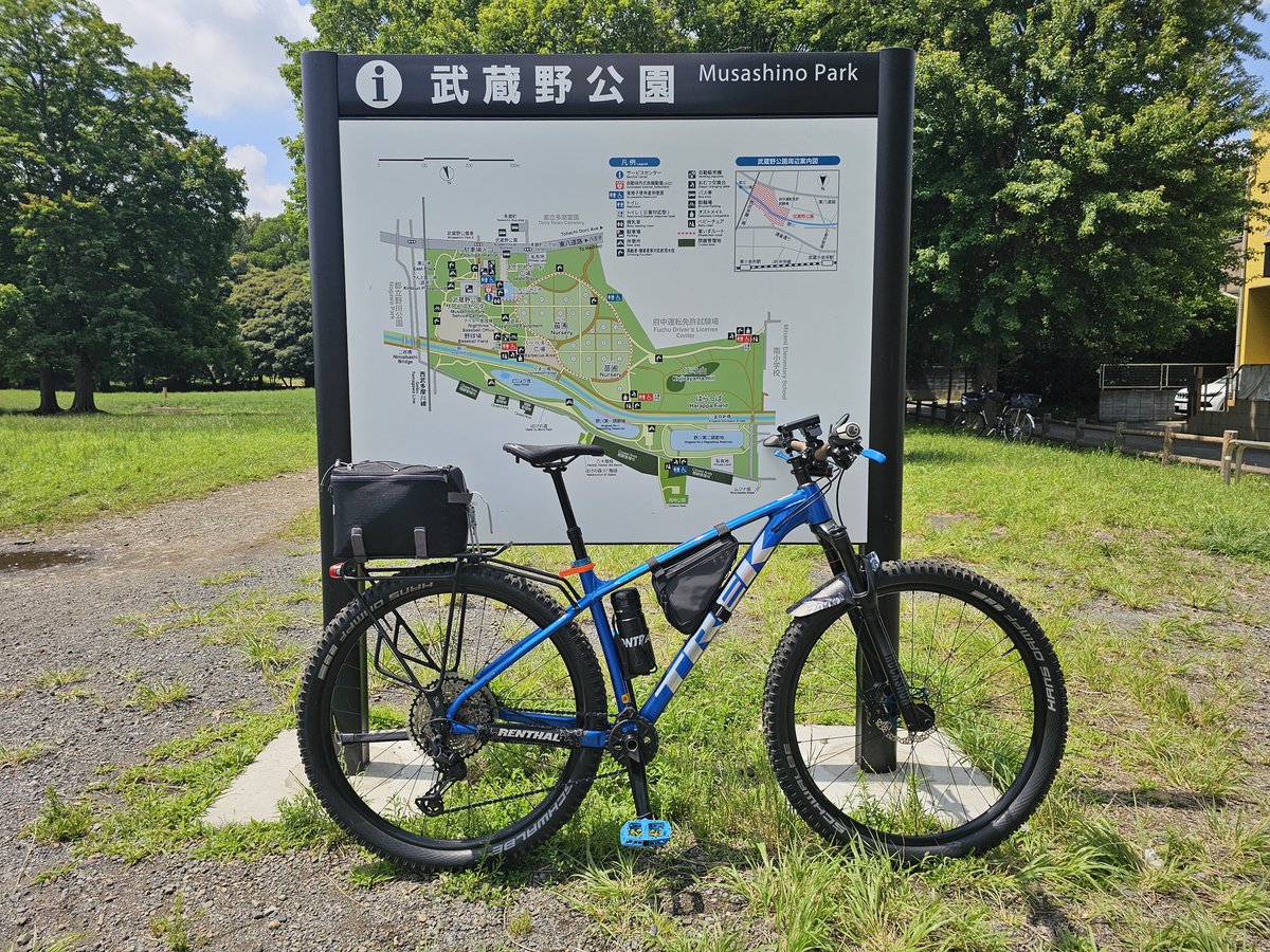 FunkyJijii's tweet photo. クマがいない・くじら山⛰️
クジラは山じゃなくて海🌊 https://t.co/opzJ94mamg