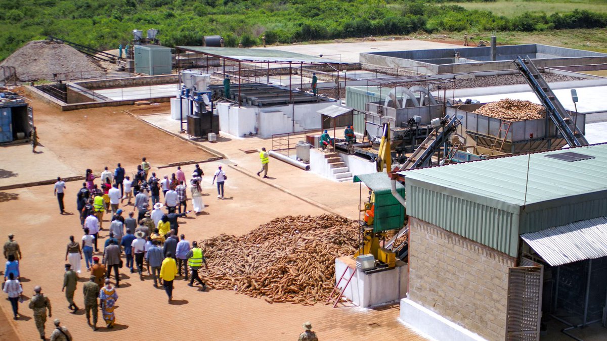 RamathanLk's tweet photo. President Museveni Commissions Cassava Starch Factory to Cut Imports, Create Youth Jobs, and Drive Economic Growth

President @KagutaMuseveni officially commissioned Pura Organic Agro Tech Limited’s state-of-the-art cassava starch processing factory. 

He underscored the strategic importance of domestic starch production for key sectors, particularly pharmaceuticals, and commended Ugandan cassava outgrowers for seizing this opportunity. 

The President urged local processors to innovate by valorising indigenous nutritious crop varieties for greater value addition.

Highlighting that reliance on imported starch from India has inflated medicine prices, Museveni welcomed the facility’s potential to substantially reduce importation costs, generate gainful employment for the youth, and stimulate broader economic growth through agro-industrial development. 

However, he expressed strong disappointment at sabotage undermining such investments—especially the vandalism of electricity poles causing power outages—and pledged resolute action to overcome these challenges.
#ONCUpdates
#KisanjaNoMoreSleep