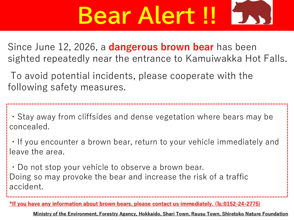 bear_shiretoko's tweet photo. カムイワッカ湯の滝周辺で近距離遭遇でも人間を気にしない危険なヒグマが確認されています。
事故の発生を避けるため、次の対策にご協力ください。
①見通しの悪い崖沿いや草むらに近づかない
②ヒグマがいた場合はすみやかに車に戻る
③走行中にヒグマを見かけても停車しない https://t.co/zizWVjs4LC
