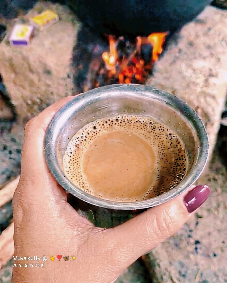 White_forestsg's tweet photo. விறகுகள் தீ மூட்ட, 🔥
நினைவுகள் உயிர் கூட்ட, 🤔
புகையின் நறுமணத்தில், 🌫️
இதமாய் ஒரு கப் டீ! ☕️
​இந்த காலைப்பொழுது,

இயற்கையின் ஆகச்சிறந்த கவிதை! 🪵☀️
(கிராமத்து சமையல்)

இனிய காலை வணக்கம்✨🌞

முயல் குட்டி🐇💞

​#MorningVibes #TamilKavithai #AestheticMorning https://t.co/Lpc9TL3HPM