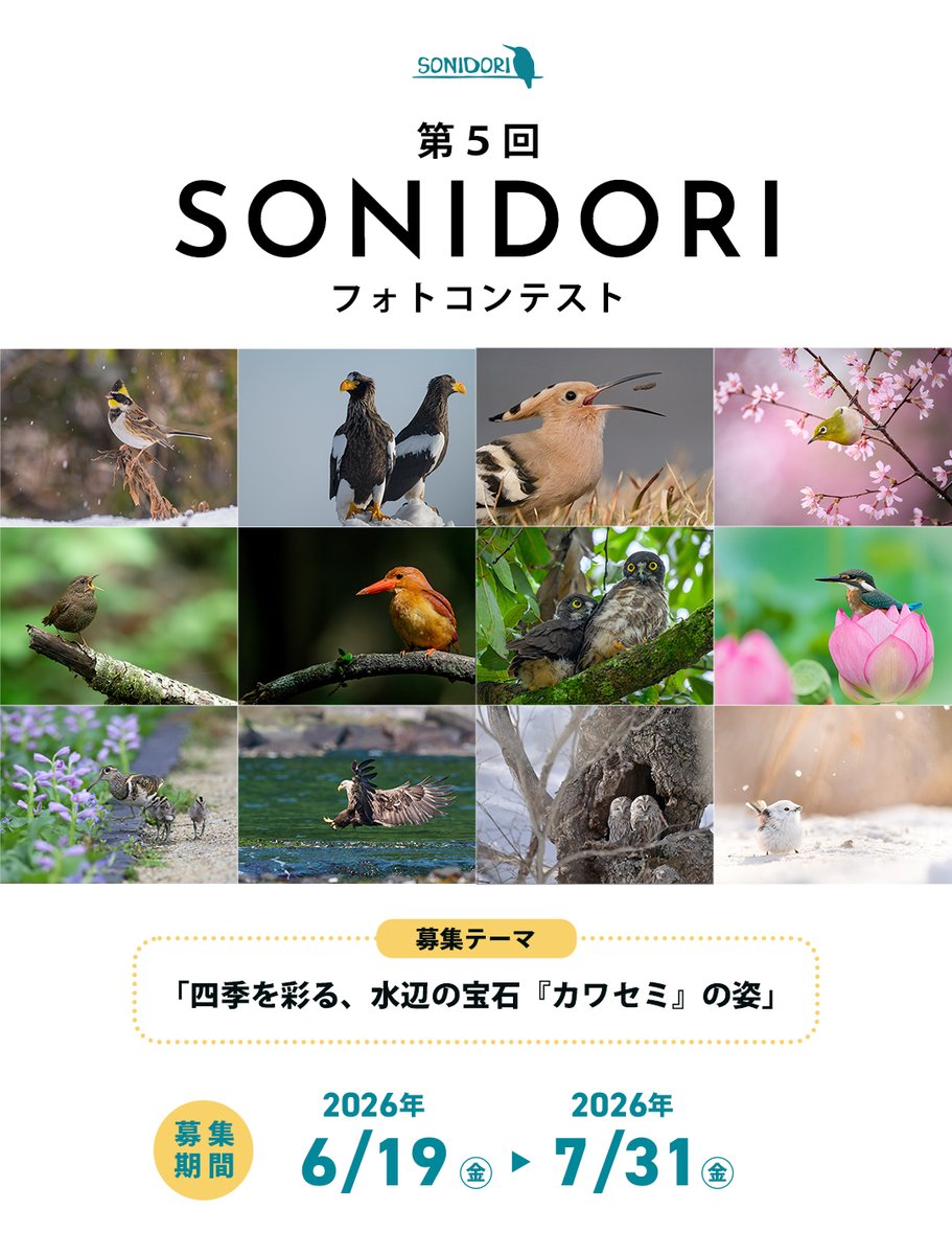 sonidori_jp's tweet photo. 本日より募集開始いたしました。
 第5回SONIDORIフォトコンテスト
今回は「四季を彩る、水辺の宝石『カワセミ』の姿」をテーマに、野鳥写真を募集します。

おひとり様３作品までご応募可能です✨
皆様の素敵な作品を���待ちしております！

▼詳細・ご応募はこちら
https://t.co/FefOsHtcXN https://t.co/XpbL6Lnctx