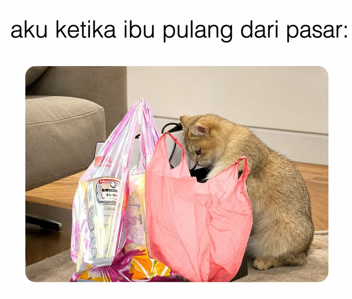 bucin_pocky's tweet photo. pernah ga sih kalian? https://t.co/rjAZCJmM4j