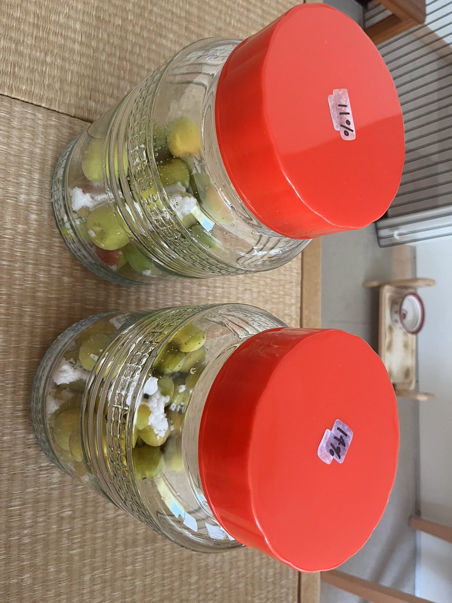 utsunomiyattm's tweet photo. 私は、市場店のあぜみちで立派な梅をGETしたので
干す場所見つかったし、梅干し作り昨日からスタートです💪🏻🔥 https://t.co/iaFZpzMz8K