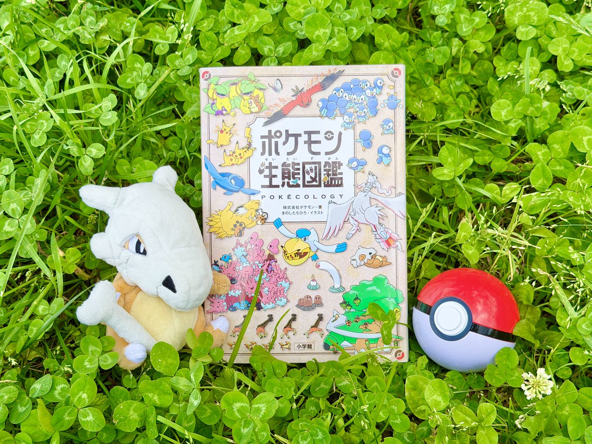 chimomonga's tweet photo. 昨日で「ポケモン生態図鑑」発売からちょうど1年でした！たくさんの方に手に取っていただいたおかげで、動物の行動生態学の分野への寄付にもつながりました。感謝です🙏 https://t.co/bRzcDGzAEr