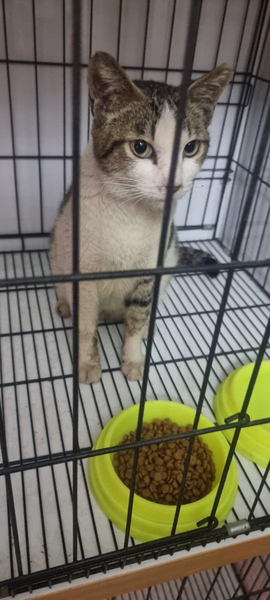 umbilodon's tweet photo. jobi awal2 aku adopt

ihi cowo jalanan macho ganteng sedikit kusam https://t.co/KGQyR40qyV