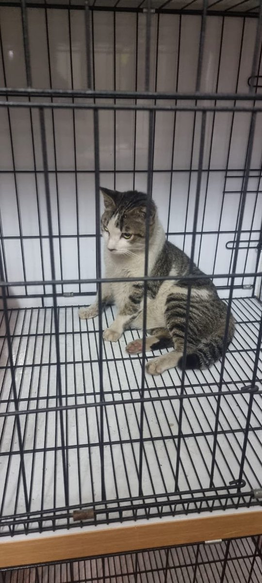 umbilodon's tweet photo. jobi awal2 aku adopt

ihi cowo jalanan macho ganteng sedikit kusam https://t.co/KGQyR40qyV