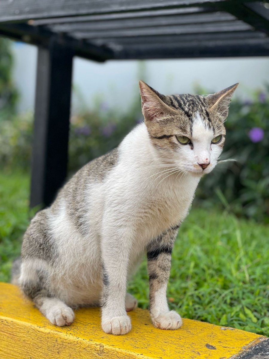 umbilodon's tweet photo. jobi awal2 aku adopt

ihi cowo jalanan macho ganteng sedikit kusam https://t.co/KGQyR40qyV