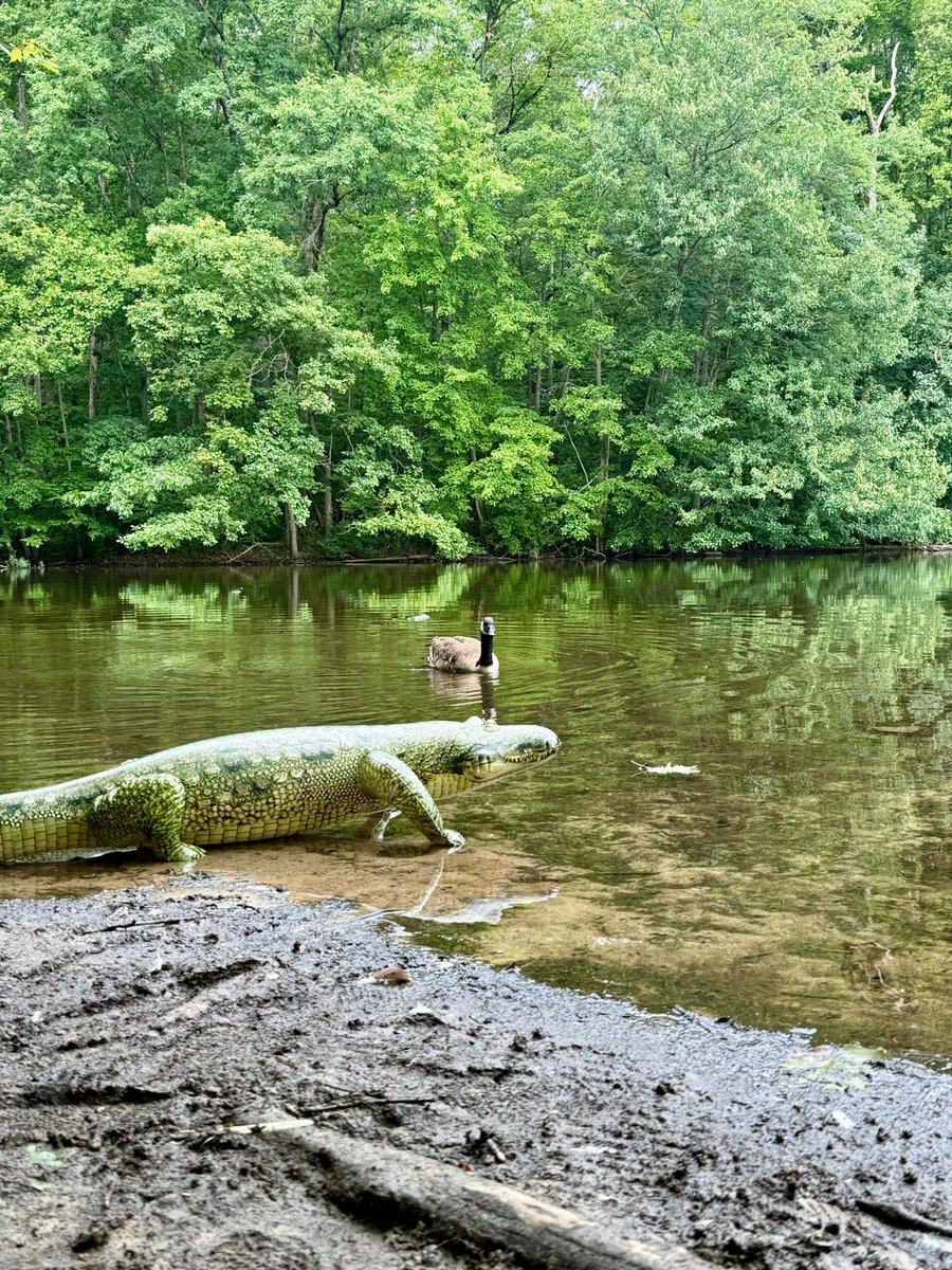 JetCreations's tweet photo. π¦: What's that?
π¦: Let me get closer...
π¦: Actually, never mind. ππ³π
#JetCreations #InflatableAlligator #Alligator #SummerFun https://t.co/PE0BQNufj4