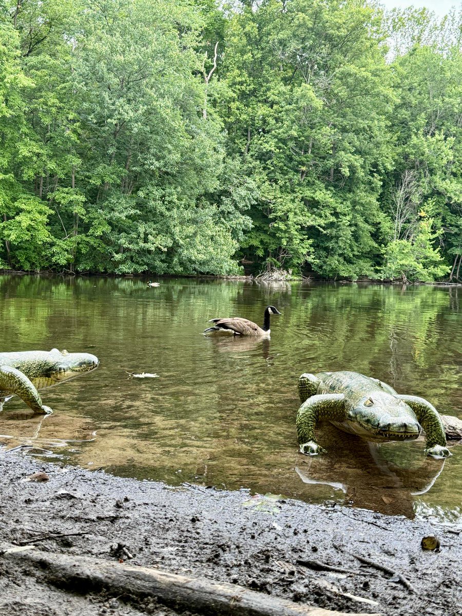 JetCreations's tweet photo. π¦: What's that?
π¦: Let me get closer...
π¦: Actually, never mind. ππ³π
#JetCreations #InflatableAlligator #Alligator #SummerFun https://t.co/PE0BQNufj4