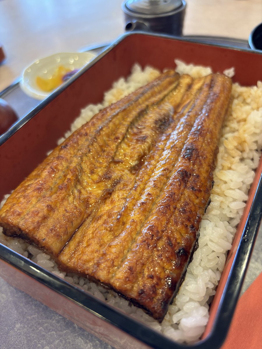 sanpougroup's tweet photo. レストラン三宝にて新発売中のうな重🥢
気軽にうなぎを食べられる幸せ😊
店舗で蒸して焼いているので、ふっくらふわふわで最高です🤤
うなぎはビタミンAやビタミンB群、カルシウムなども含まれて含まれており、夏バテしやすいこの時期にぴったりの栄養満点メニューです💪
是非ご賞味ください✨ https://t.co/bbZUtRz8Fg