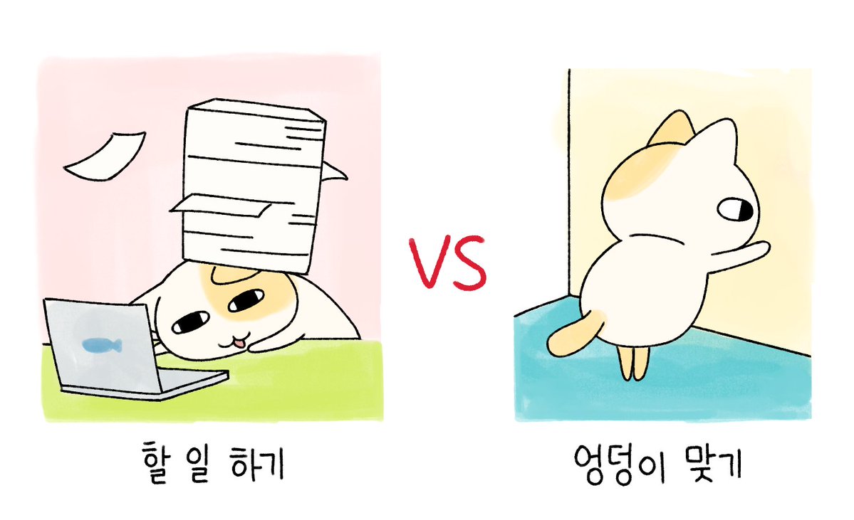 묘냥이와 멍구 tweet media
