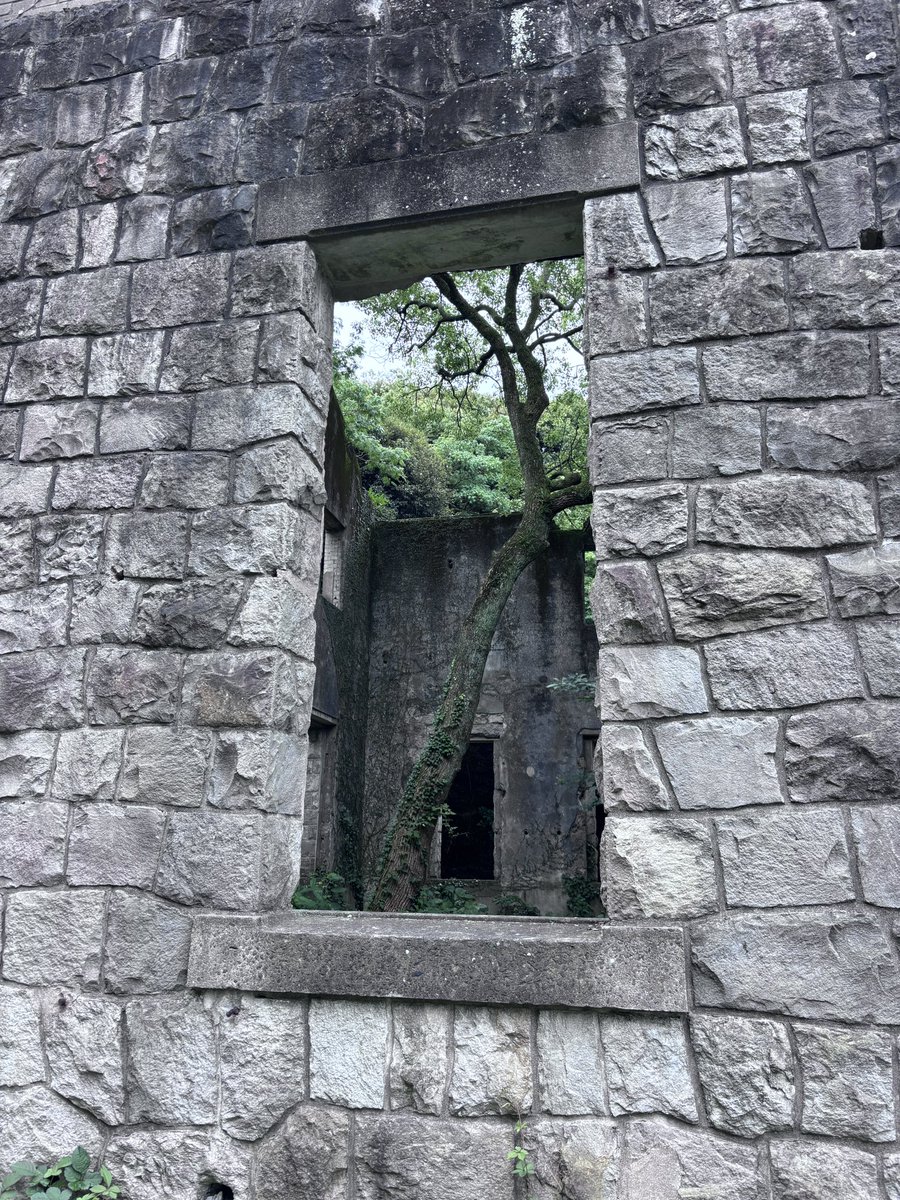 wasuretagano's tweet photo. 自然に侵食された戦争遺構は美しい https://t.co/pYQdapiDvw