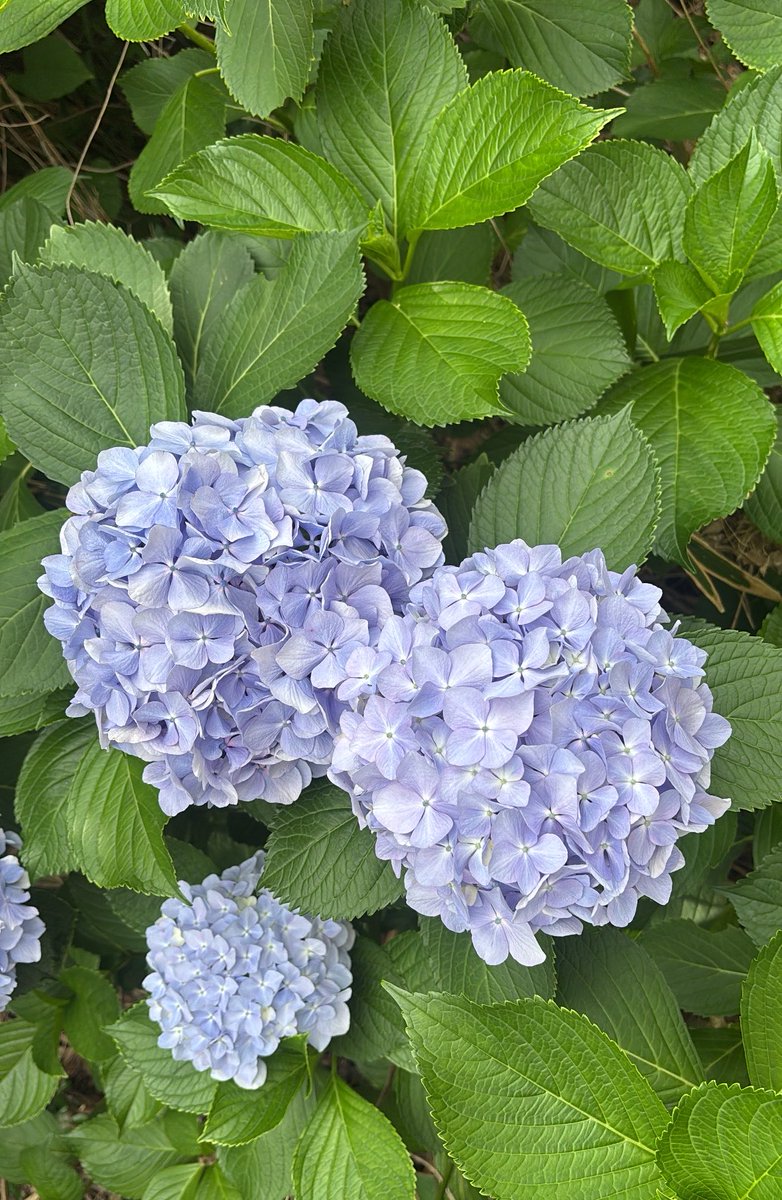 yuw23P's tweet photo. 心に残るものだけ並べて 眺めてたいな https://t.co/ZSFlHrtLOX