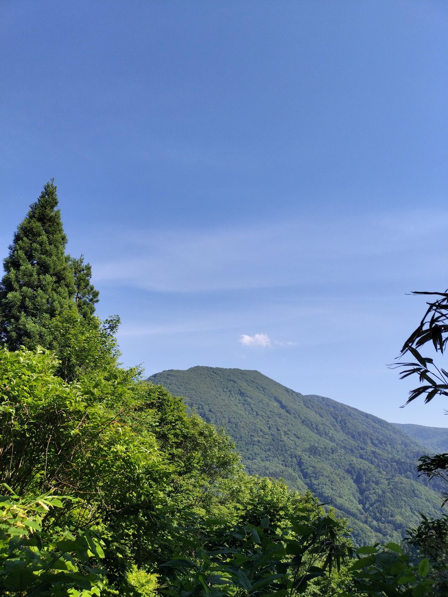 yoh_relaxation's tweet photo. #2026外ヶ浜フォトコン
五粁沢林道を登った所から
覗く増川岳✨
今まで道が崩れて通れなかった場所で、最近になって林道を直したばかりです。
#山歩き #林道 #登山 #山の仕事 #三厩 https://t.co/glW6W5daK3