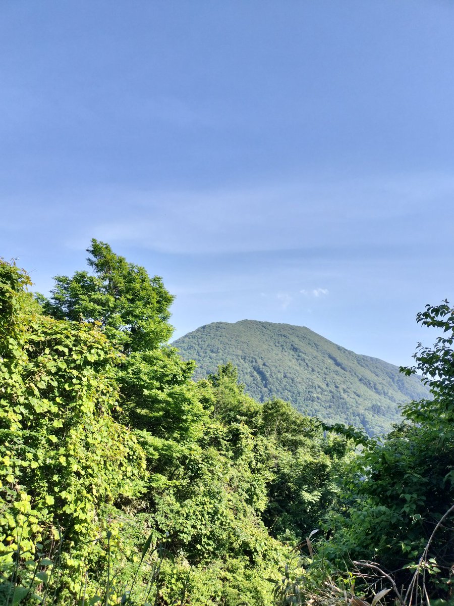 yoh_relaxation's tweet photo. #2026外ヶ浜フォトコン
五粁沢林道を登った所から
覗く増川岳✨
今まで道が崩れて通れなかった場所で、最近になって林道を直したばかりです。
#山歩き #林道 #登山 #山の仕事 #三厩 https://t.co/glW6W5daK3