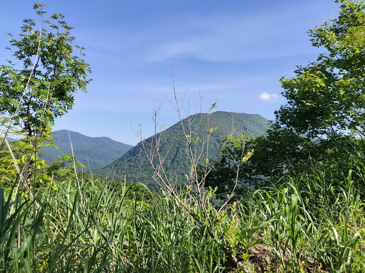 yoh_relaxation's tweet photo. #2026外ヶ浜フォトコン
五粁沢林道を登った所から
覗く増川岳✨
今まで道が崩れて通れなかった場所で、最近になって林道を直したばかりです。
#山歩き #林道 #登山 #山の仕事 #三厩 https://t.co/glW6W5daK3