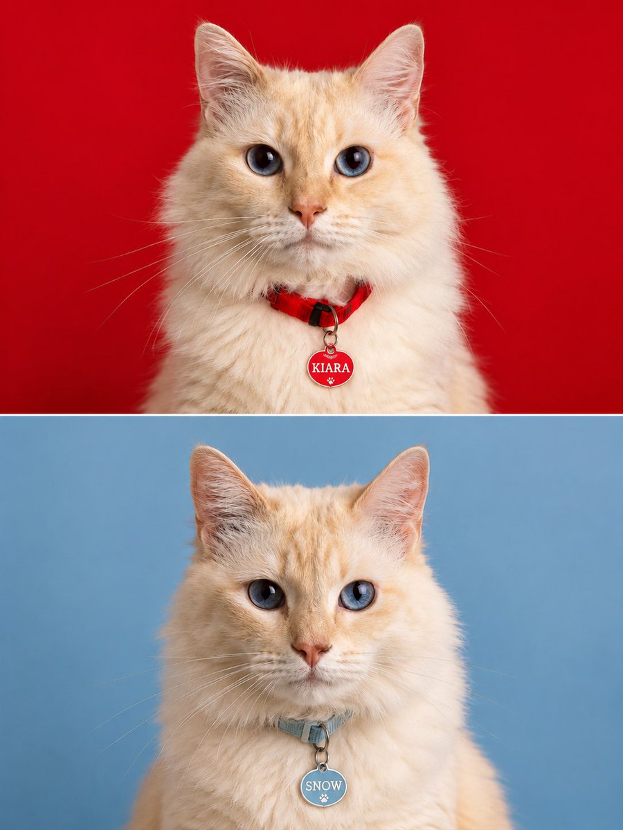 saracorreamend's tweet photo. E eu tô vendo todo mundo tirando passaporte dos gatos e fiquei com inveja então pedi pro gpt fazer a foto de passaporte dos meus 😭 https://t.co/oP4TepF7fb