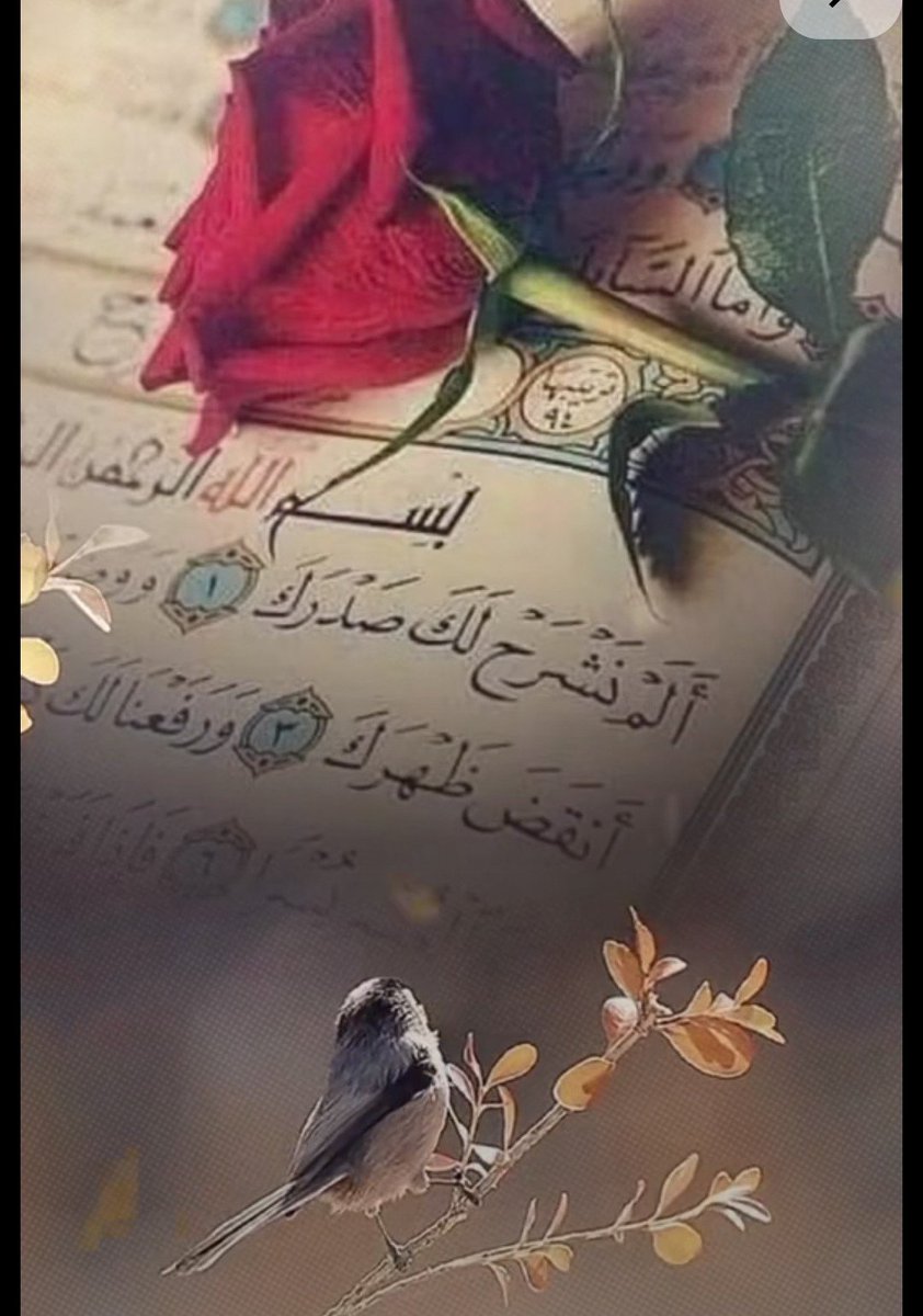 0m3n_'s tweet photo. العتبةُ الأجملُ في الوعي، هي أن يتصالحَ داخلكَ مع شتاءاتِ الظروف
و ألّا ترهنَ طمأنينتَكَ بكفِّ بشر

 فيعلو فيكَ سلامٌ عصيٌّ على التفتت، وتكتملُ في عُزلتِكَ الإنسانيه المبهجة

#صباح الخير
#صباح_الخير_والسعادة_للجميع
#جمعة_مباركة https://t.co/5y00vvfmEt