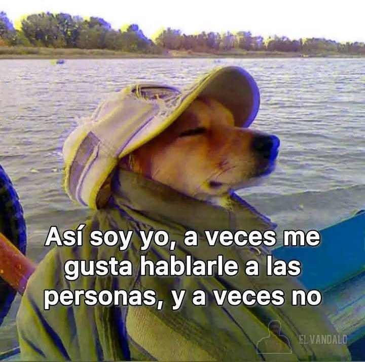 FraseSimple tweet picture