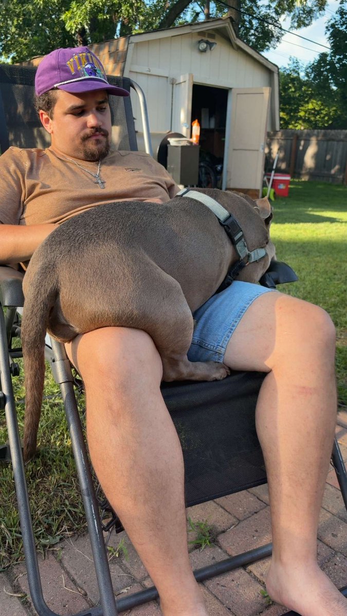 JaySnags22's tweet photo. 60lb lap dog ❤️ ⚽ https://t.co/AnCixF9otX