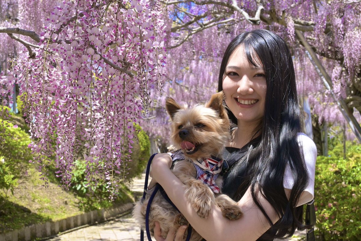 pon2way2's tweet photo. 🐕🐕🐕🐕 https://t.co/cz9koRJdNz
