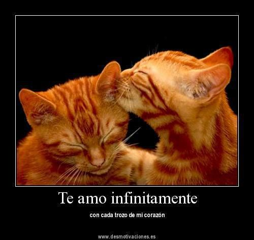 chonloloro's tweet photo. https://t.co/qt3yl1zPYc