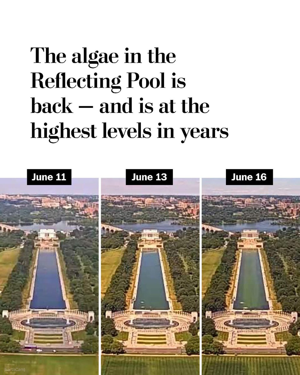 washingtonpost tweet picture