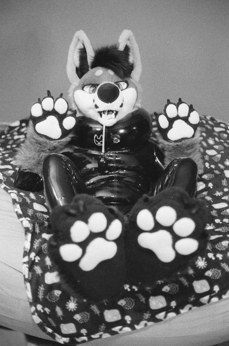 HemlockFoxy's tweet photo. Latex in black and white film~ ❤️

📸 @Swiftfeather1 https://t.co/aFhRfdp6Qo