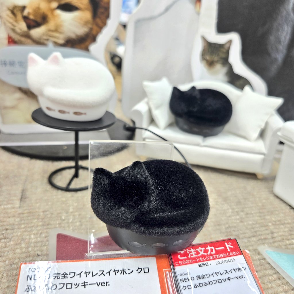 おはようございます！ 本日も元気にオープンしました✨ radius NEKO